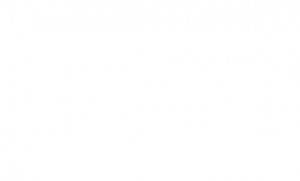 blank_main